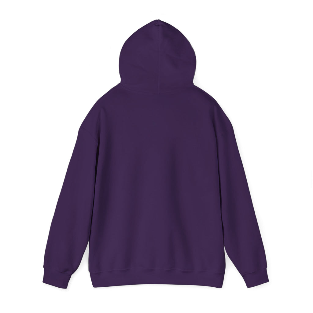 Perfusion Hoodie – Vintage 'Perfusion Est. 1953' Medical Tech Sweatshirt
