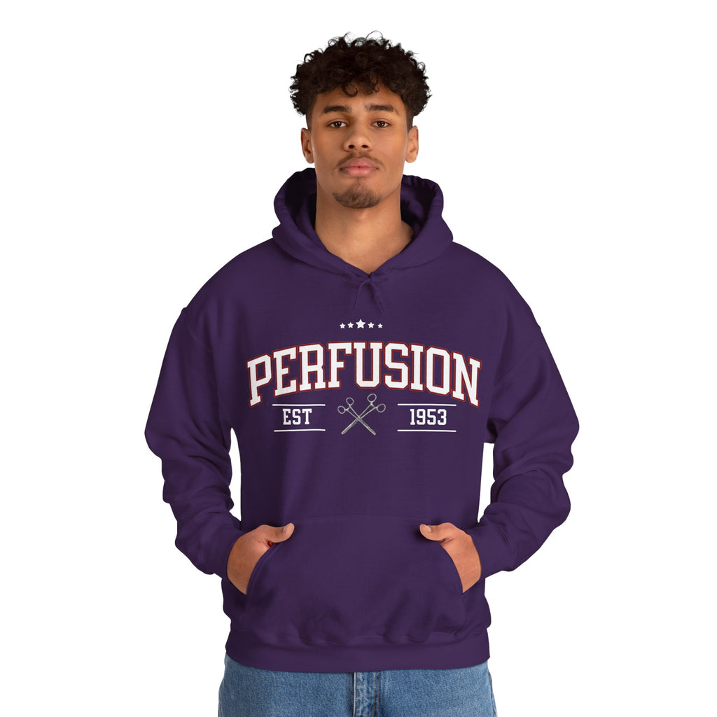 Perfusion Hoodie – Vintage 'Perfusion Est. 1953' Medical Tech Sweatshirt