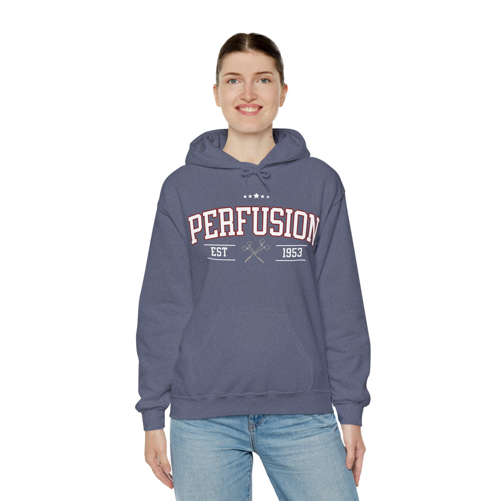 Perfusion Hoodie – Vintage 'Perfusion Est. 1953' Medical Tech Sweatshirt