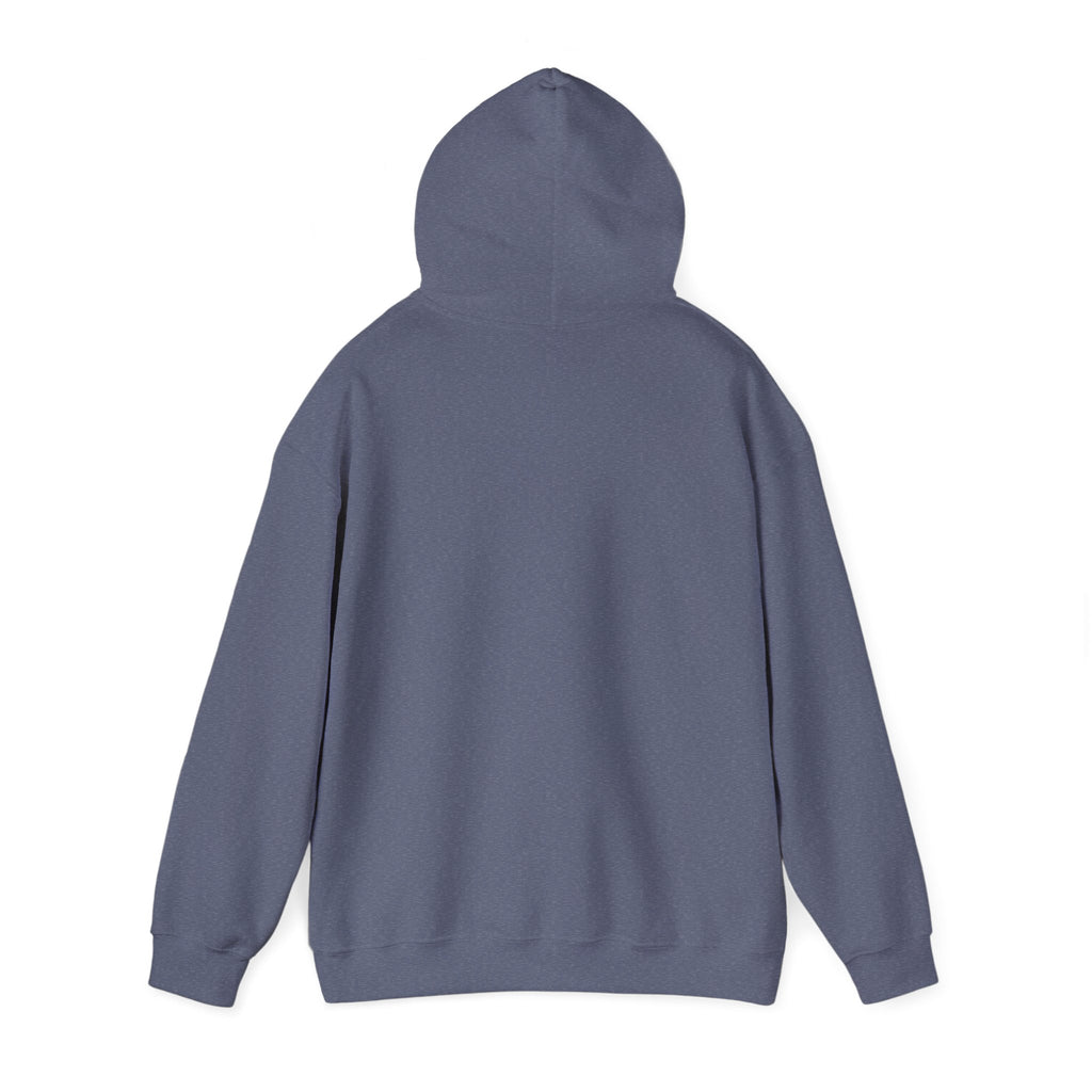 Perfusion Hoodie – Vintage 'Perfusion Est. 1953' Medical Tech Sweatshirt