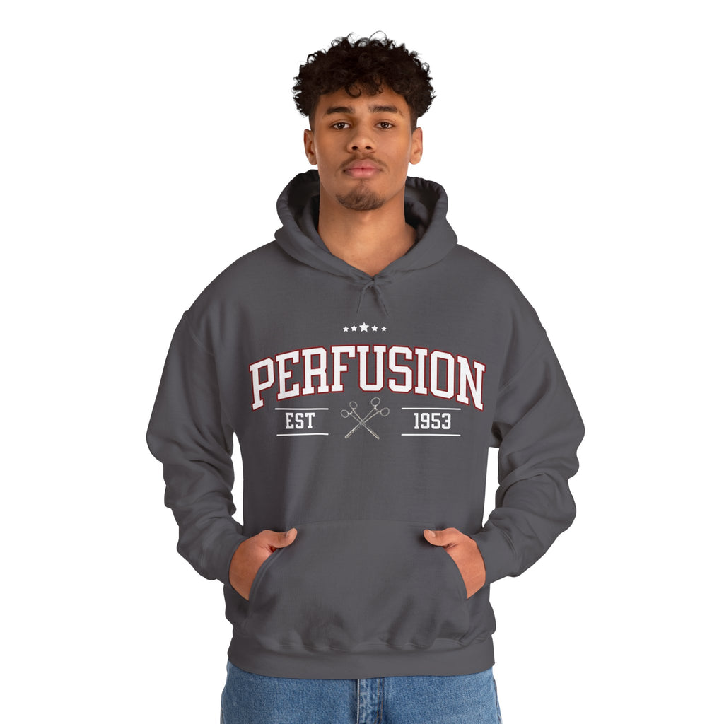 Perfusion Hoodie – Vintage 'Perfusion Est. 1953' Medical Tech Sweatshirt