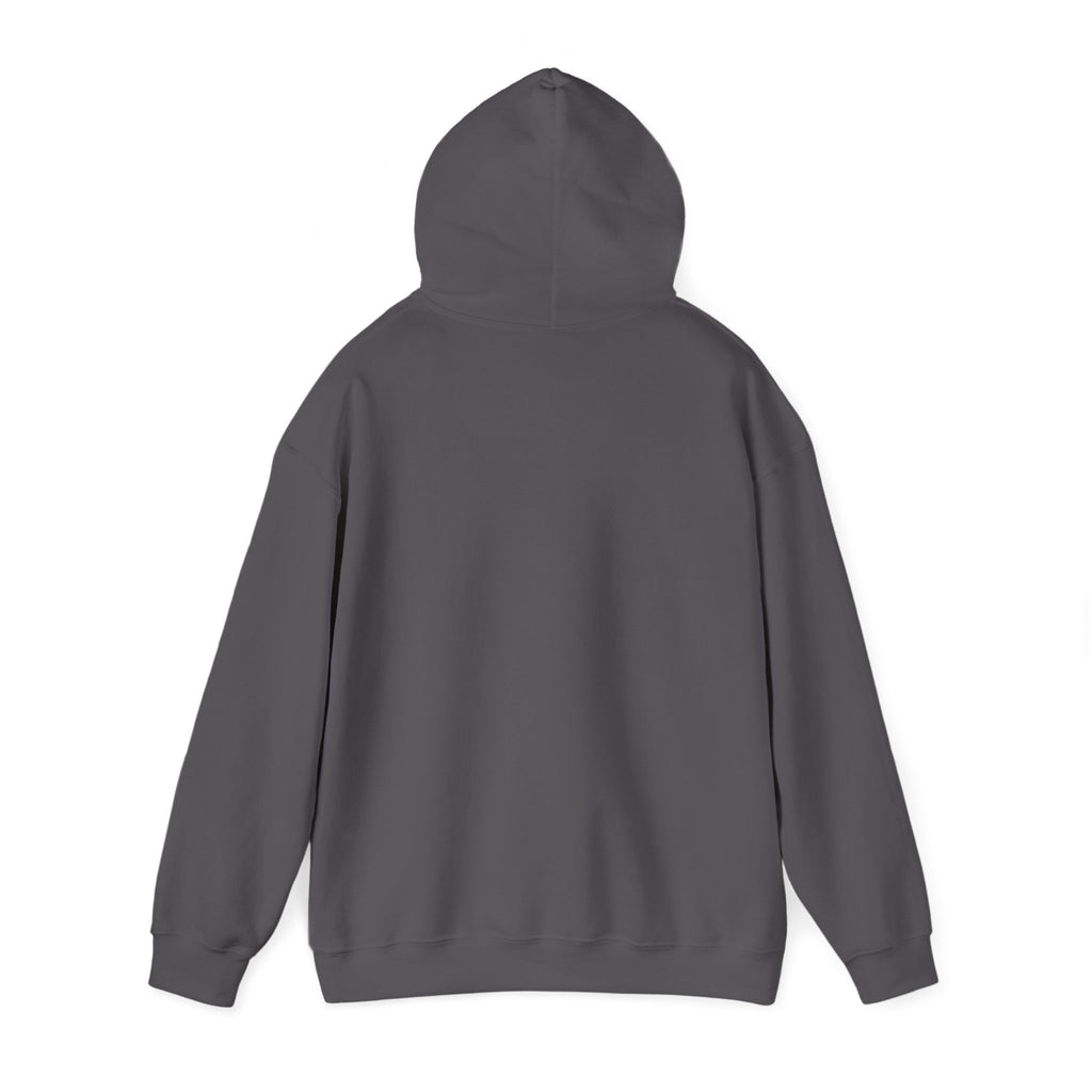 Perfusion Hoodie – Vintage 'Perfusion Est. 1953' Medical Tech Sweatshirt