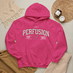 Perfusion Hoodie – Vintage 'Perfusion Est. 1953' Medical Tech Sweatshirt