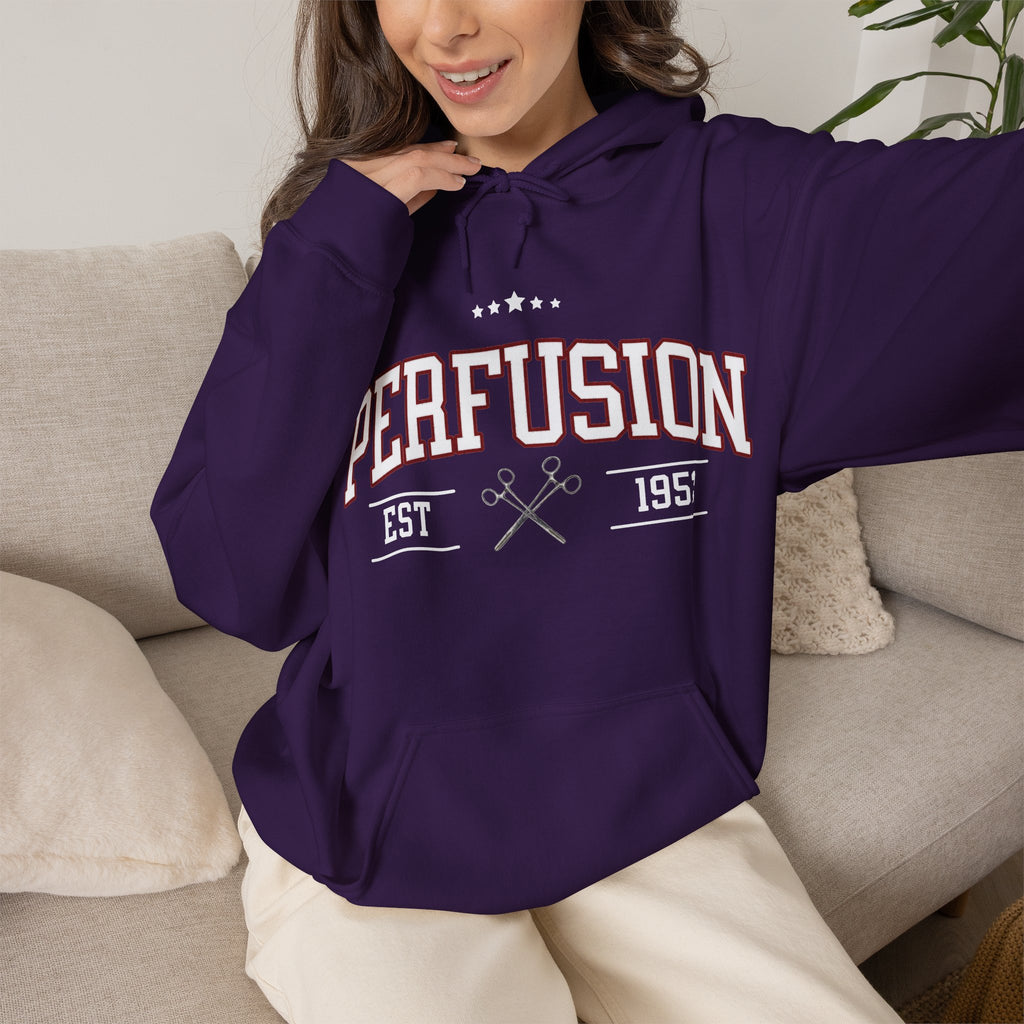 Perfusion Hoodie – Vintage 'Perfusion Est. 1953' Medical Tech Sweatshirt