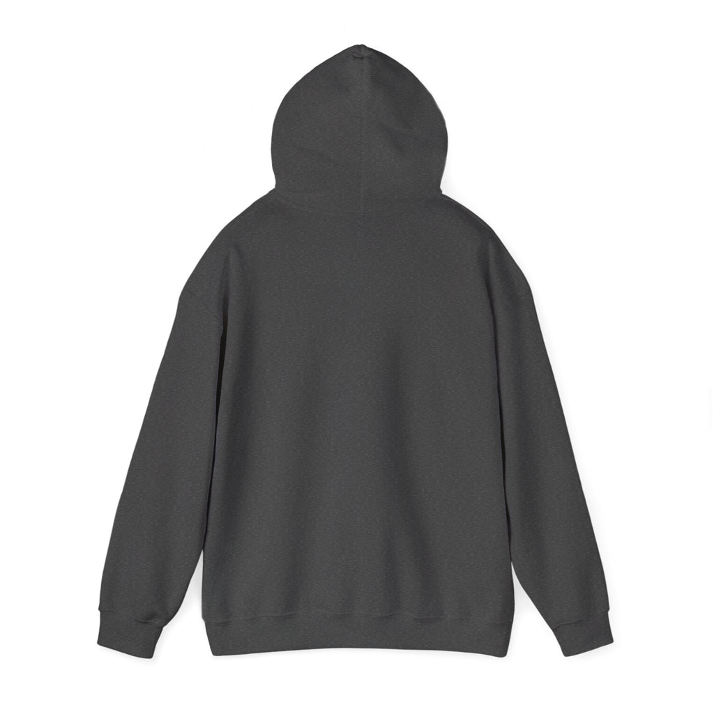Perfusion Hoodie – Vintage 'Perfusion Est. 1953' Medical Tech Sweatshirt