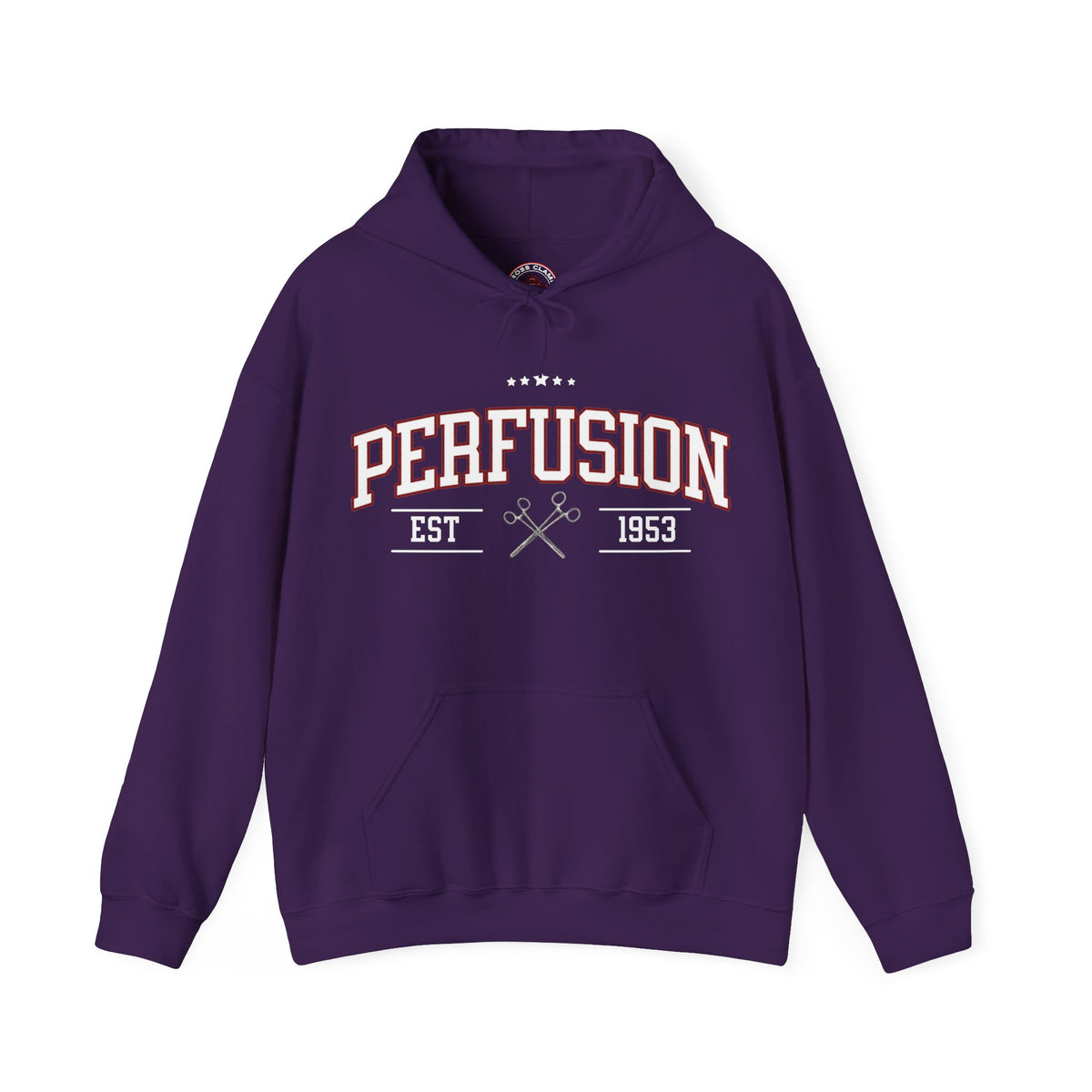 Perfusion Hoodie – Vintage 'Perfusion Est. 1953' Medical Tech Sweatshirt
