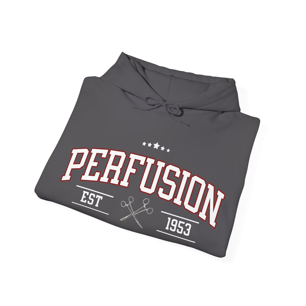 Perfusion Hoodie – Vintage 'Perfusion Est. 1953' Medical Tech Sweatshirt