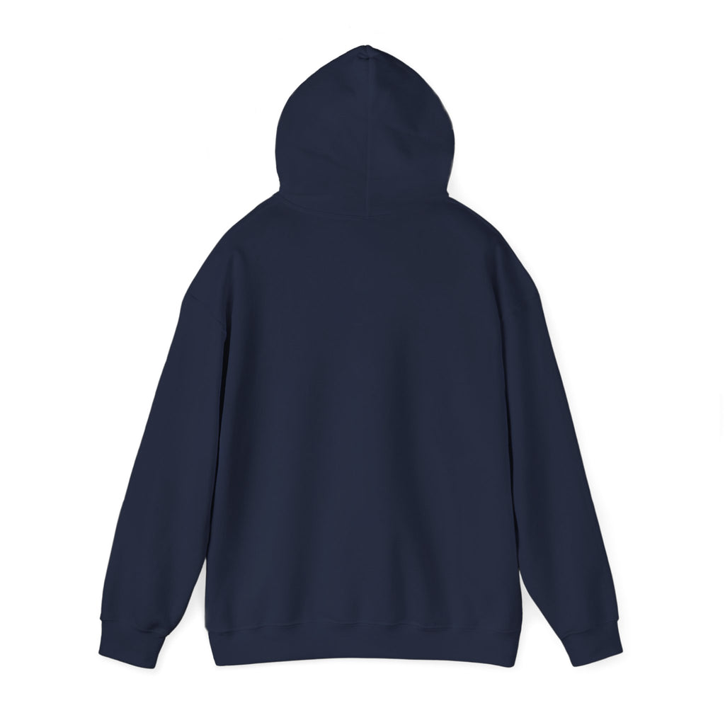 Perfusion Hoodie – Vintage 'Perfusion Est. 1953' Medical Tech Sweatshirt