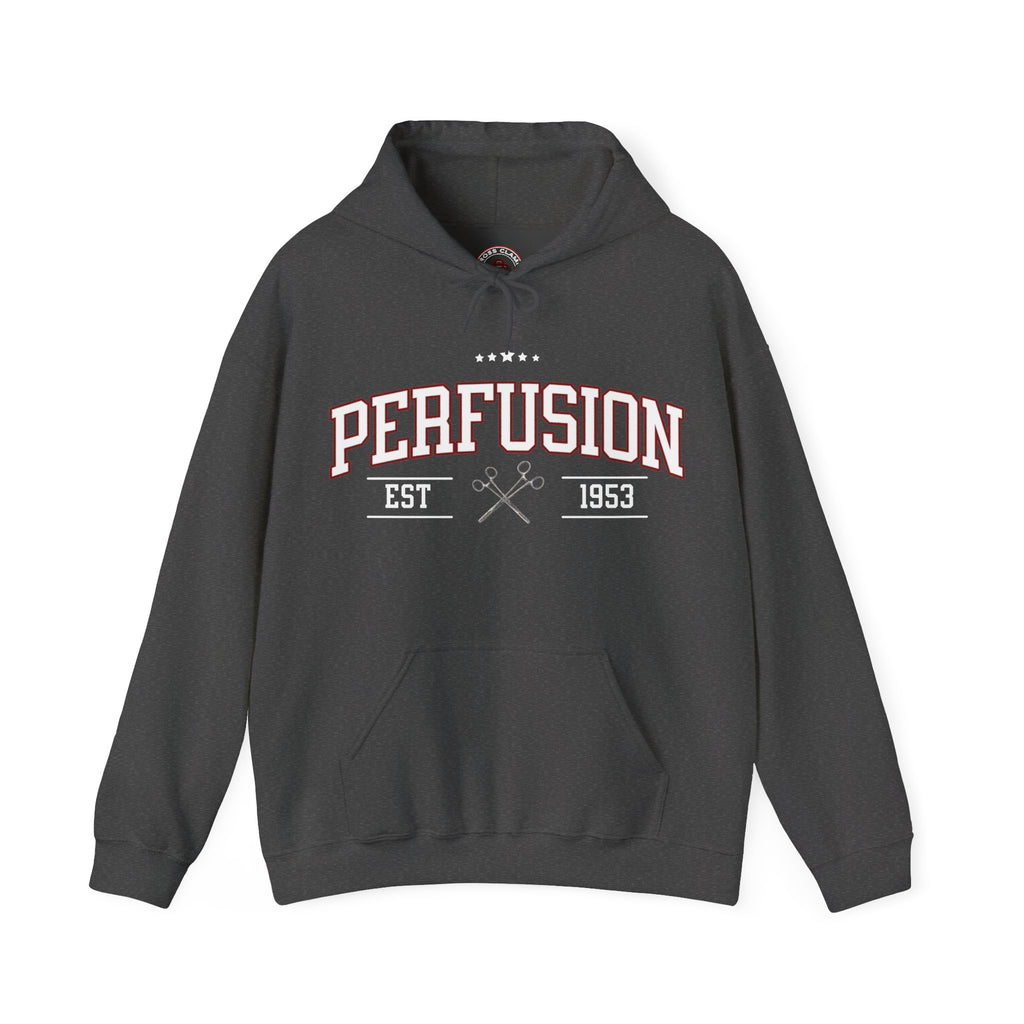 Perfusion Hoodie – Vintage 'Perfusion Est. 1953' Medical Tech Sweatshirt