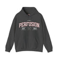 Perfusion Hoodie – Vintage 'Perfusion Est. 1953' Medical Tech Sweatshirt