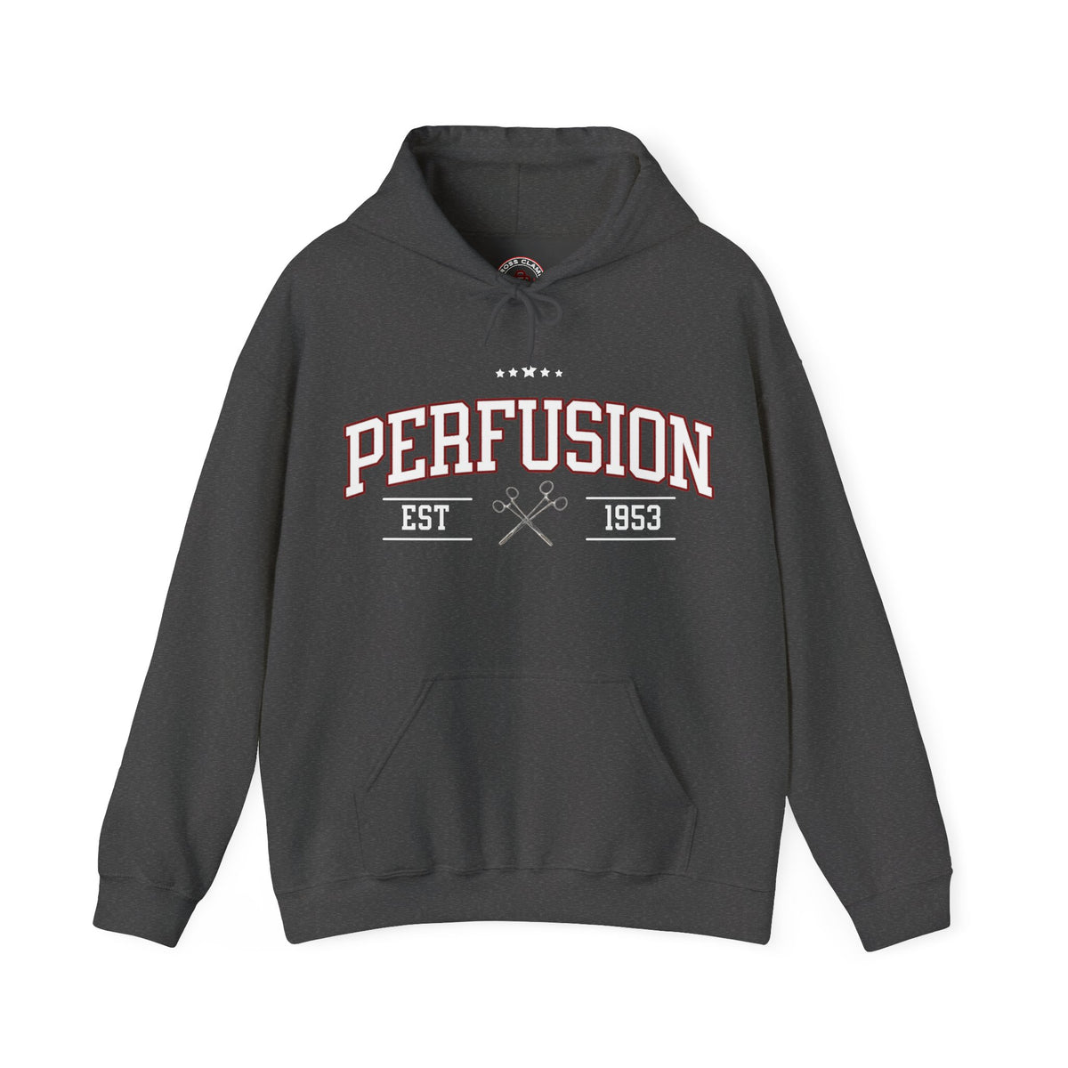 Perfusion Hoodie – Vintage 'Perfusion Est. 1953' Medical Tech Sweatshirt