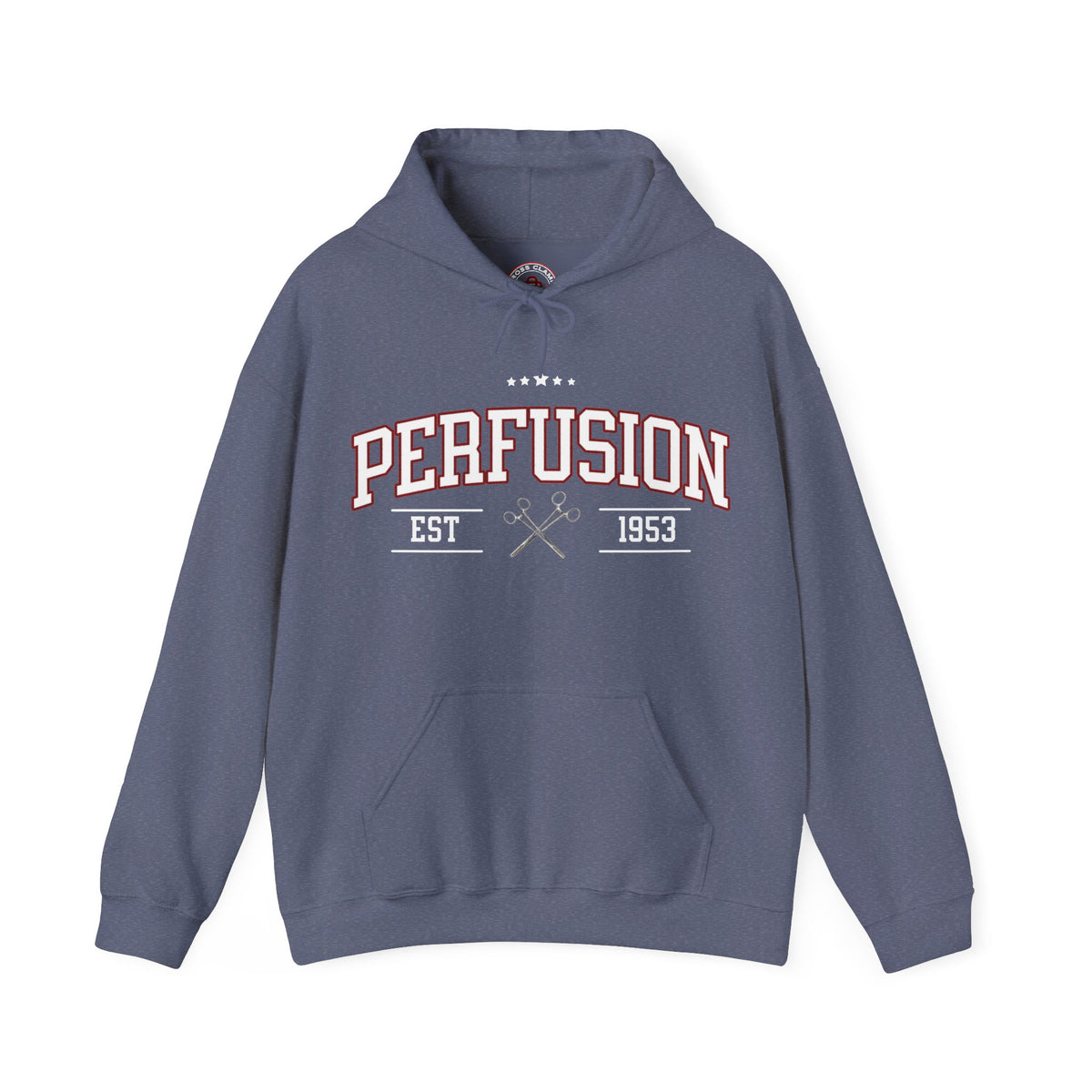 Perfusion Hoodie – Vintage 'Perfusion Est. 1953' Medical Tech Sweatshirt