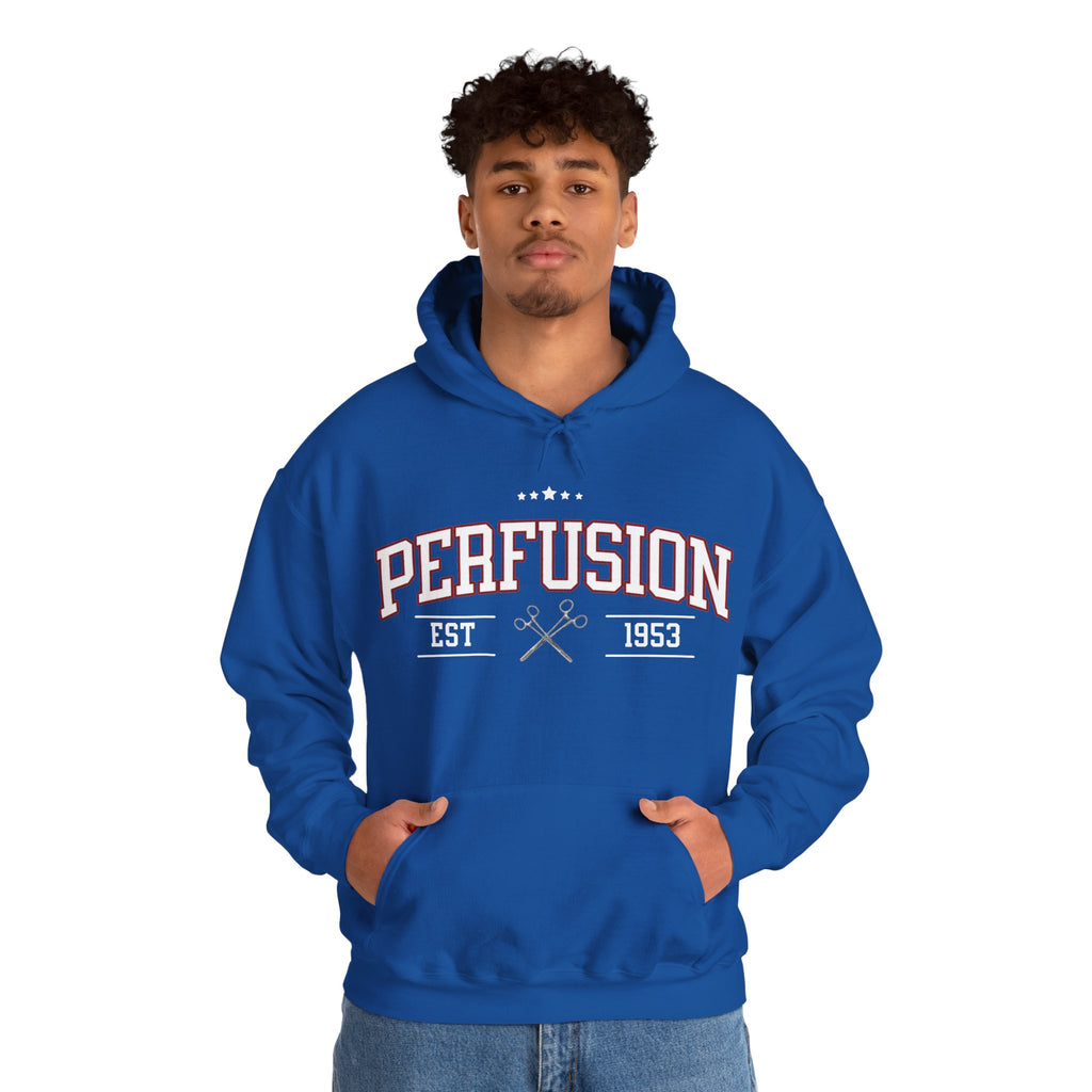 Perfusion Hoodie – Vintage 'Perfusion Est. 1953' Medical Tech Sweatshirt