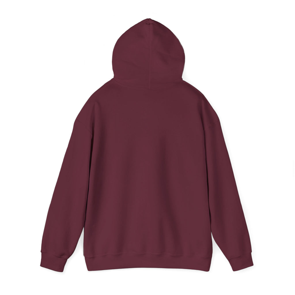 Perfusion Hoodie – Vintage 'Perfusion Est. 1953' Medical Tech Sweatshirt