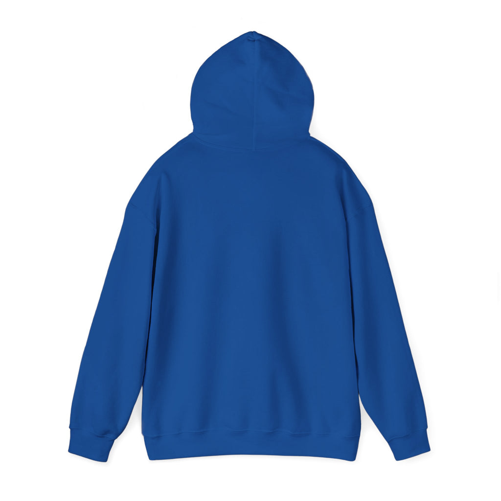Perfusion Hoodie – Vintage 'Perfusion Est. 1953' Medical Tech Sweatshirt