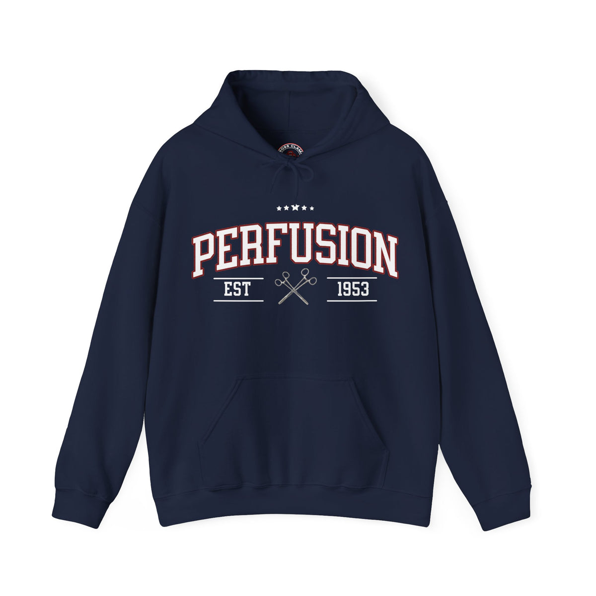 Perfusion Hoodie – Vintage 'Perfusion Est. 1953' Medical Tech Sweatshirt