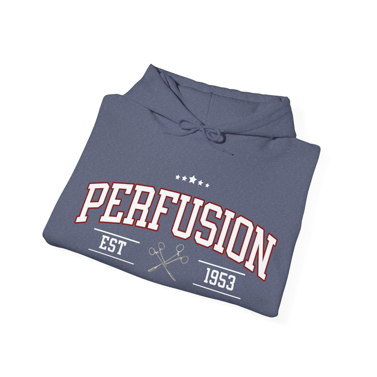 Perfusion Hoodie – Vintage 'Perfusion Est. 1953' Medical Tech Sweatshirt