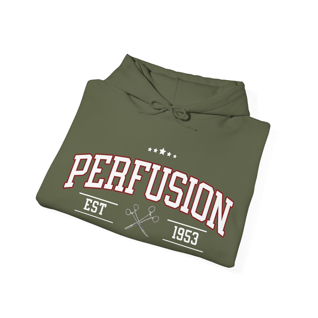 Perfusion Hoodie – Vintage 'Perfusion Est. 1953' Medical Tech Sweatshirt